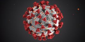 Чем коронавирус отличается от сезонного гриппа: наглядное сравнение