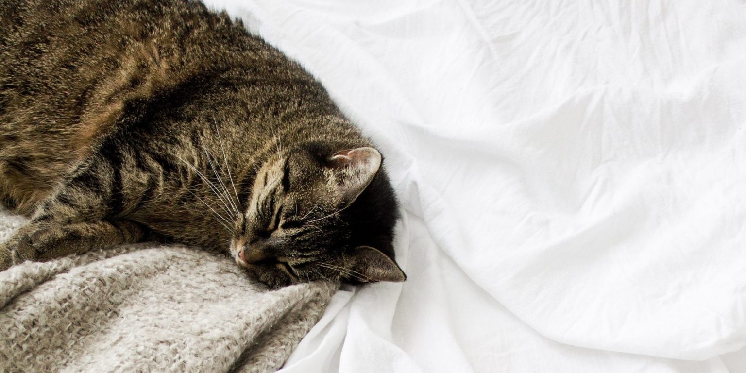 стать фрилансером