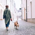 Как гулять с собакой во время карантина