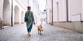 Как гулять с собакой во время карантина: 5 простых правил