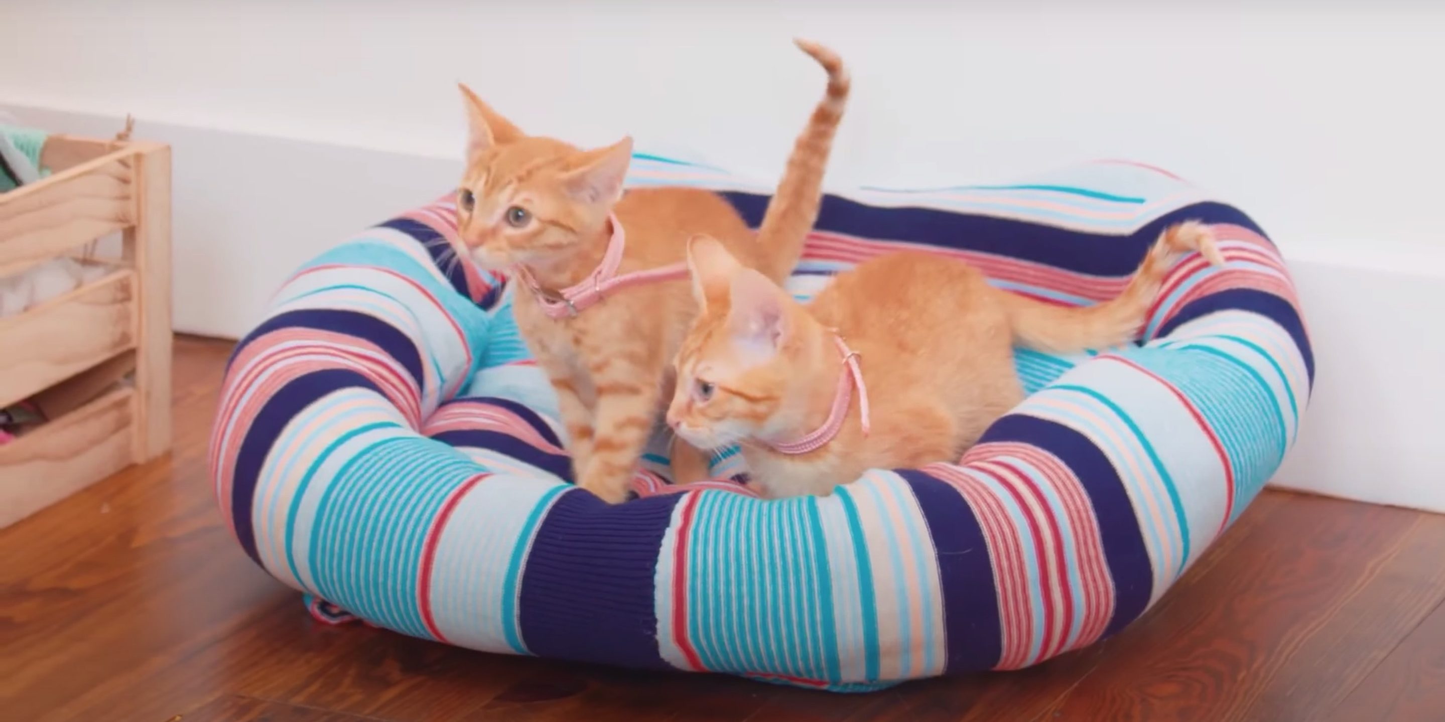 Как сшить лежак (кроватку) для кошки своими руками