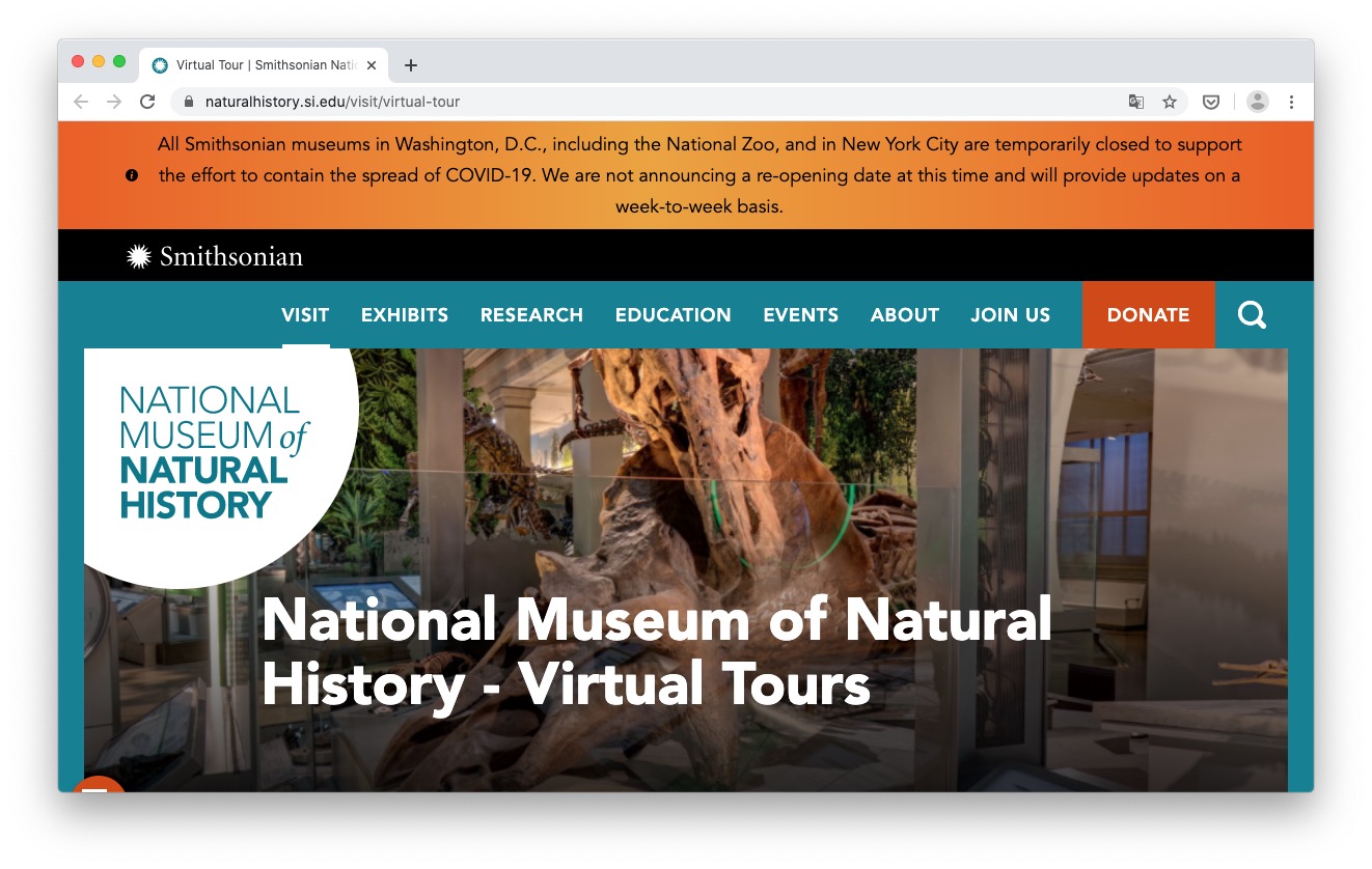 7 музеев мира, которые можно посетить онлайн