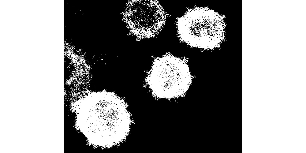 Отсутствие иммунитета к вирусу