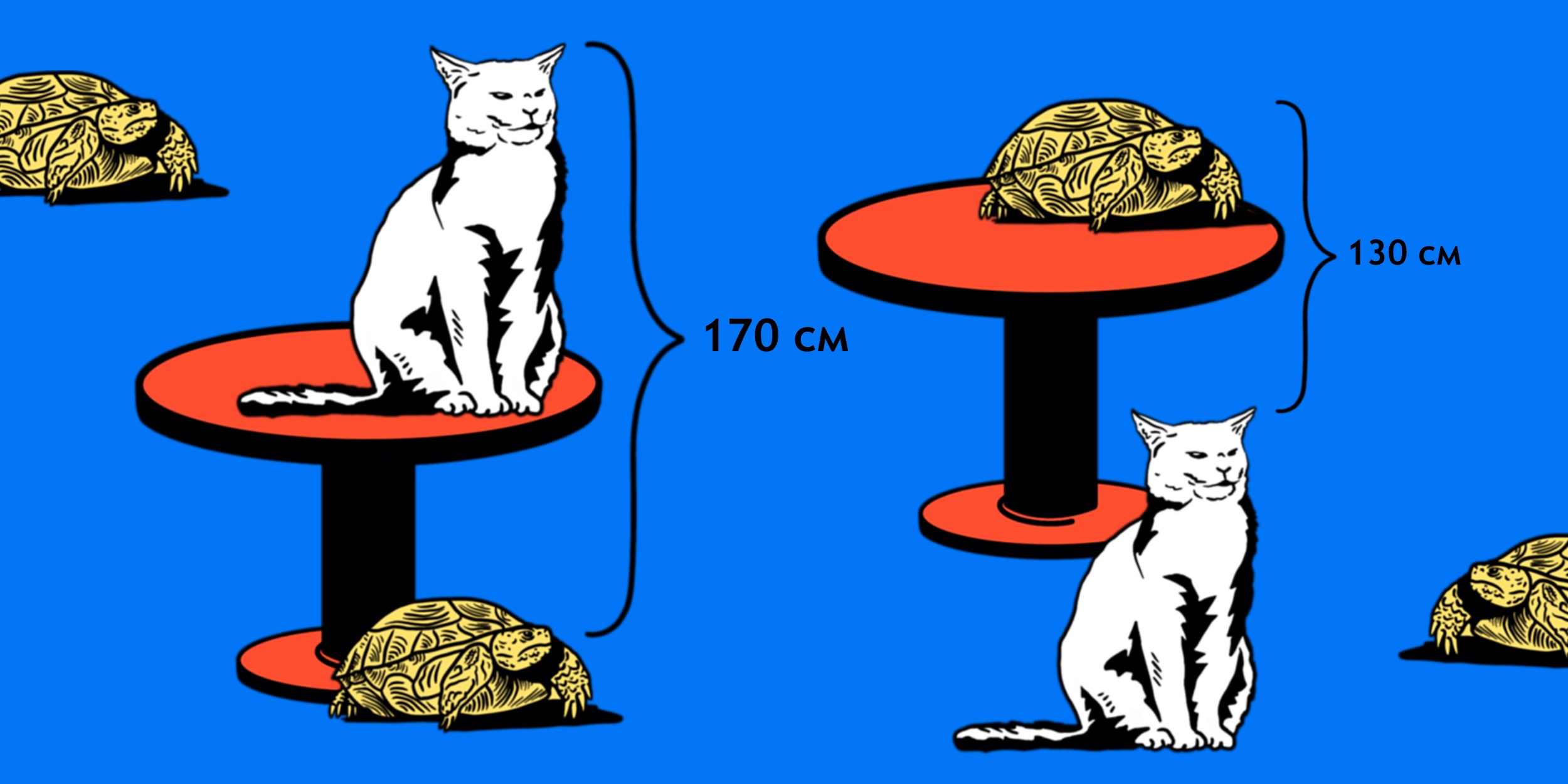 Китайская задача про стол, кота, черепаху и взрыв&nbsp;мозга