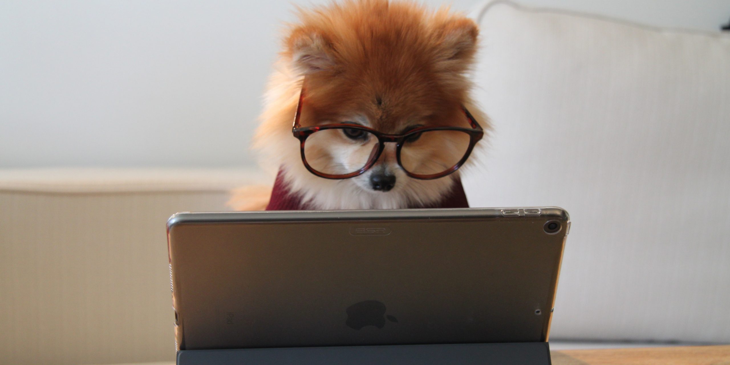 Каждый пятый россиянин ни разу не пользовался интернетом