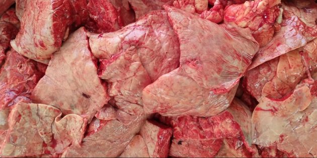Как варить говяжье лёгкое: охлаждённое говяжье лёгкое