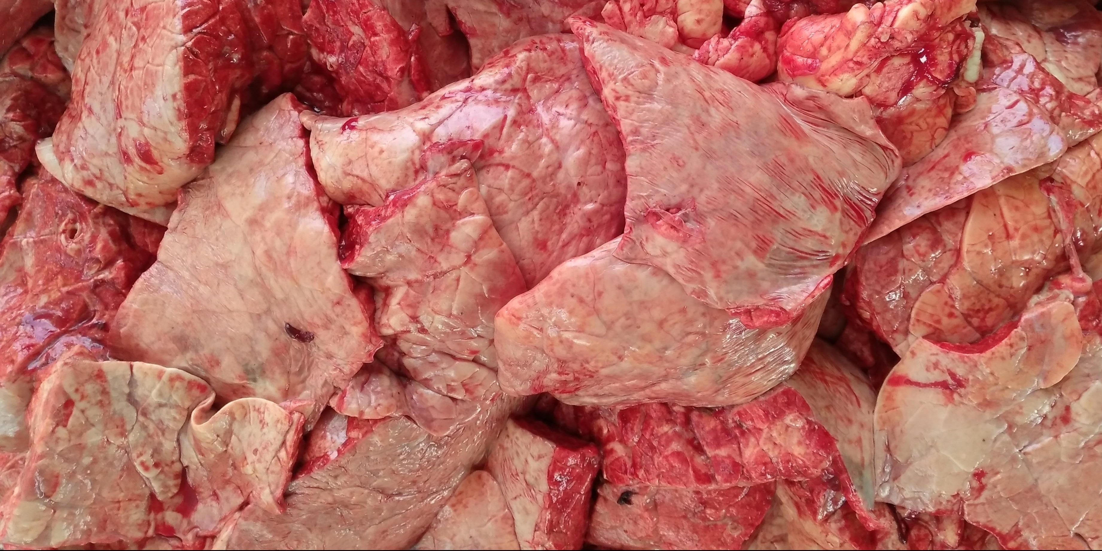 Отварное прессованное мясо – пошаговый фоторецепт