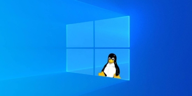 windows linux