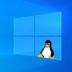 windows linux