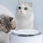 Надо брать: умная поилка для кошек от Xiaomi