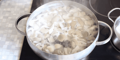 Как варить вёшенки: выложите вёшенки в кипящую воду