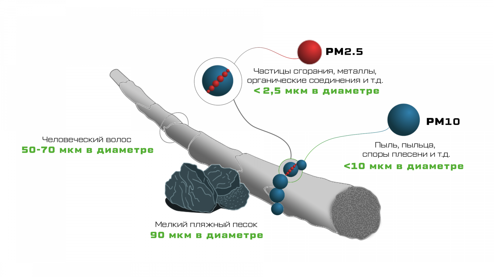 Pm 2.5. PM частицы. Частицы pm10 что это. Микрочастицы в воздухе. Частицы PM2.5.