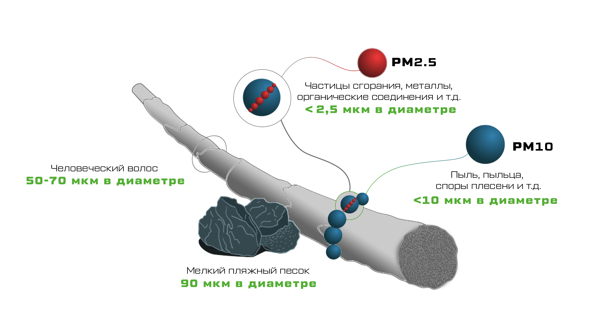 Pm 2.5 что это в воздухе. PM частицы. Частицы PM2.5. Частицы pm10 что это. Микрочастицы в воздухе.