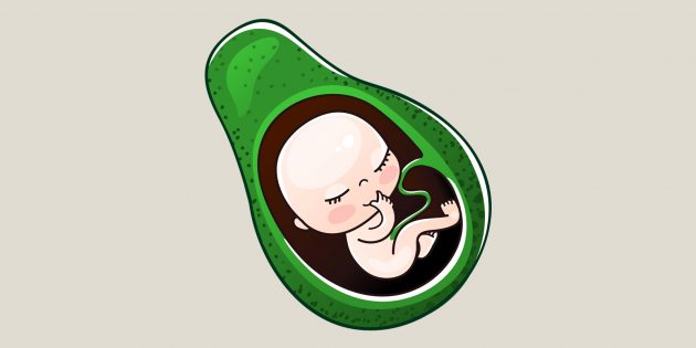 Беременность по неделям: к 16–17-й неделям ребёнок достигает размера авокадо