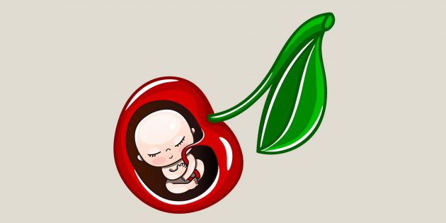 К 7–8-й неделям беременности ребёнок достигает размера вишни