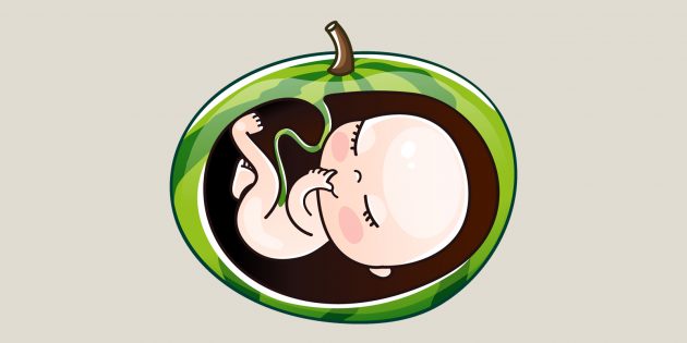 Беременность по неделям: к 36–37-й неделям ребёнок достигает размера арбуза