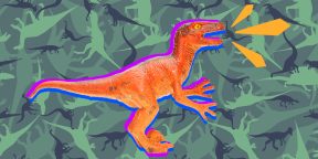 Тест на зоркость: какой динозавр отличается от всех остальных?