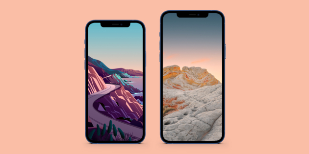 ios 14.2 ����