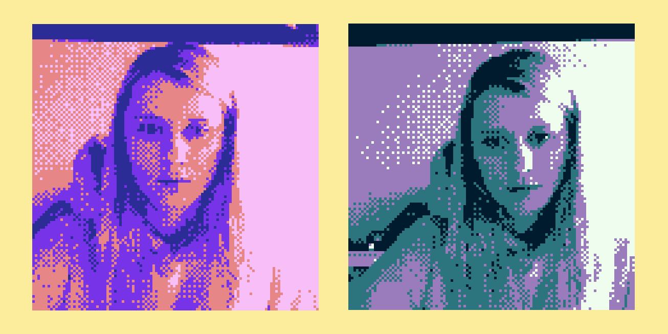 Game Boy камера