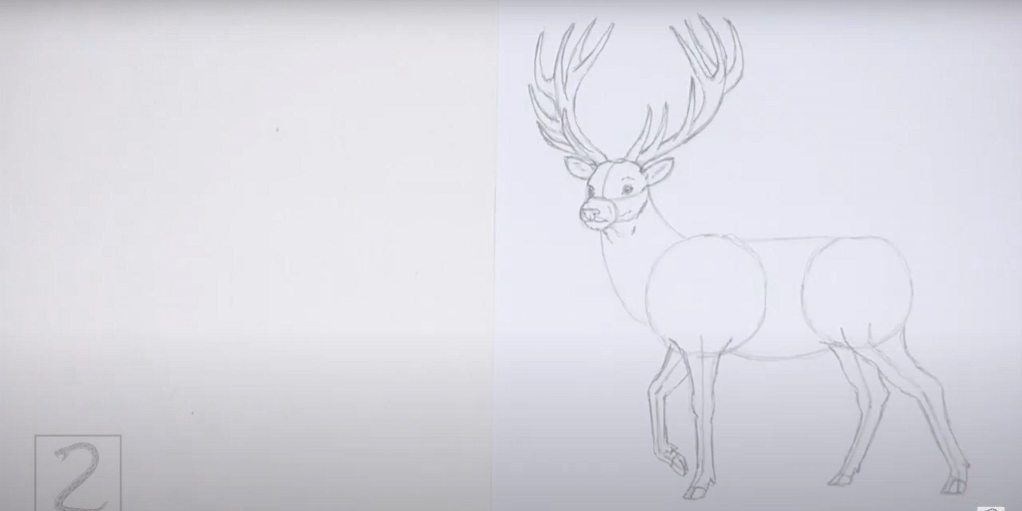Как рисовать хвост оленя