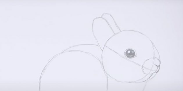 Как нарисовать кролика: детализируйте нос