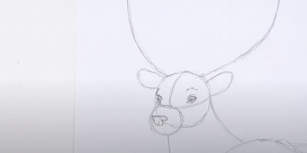 Как нарисовать оленя: начните детализировать голову