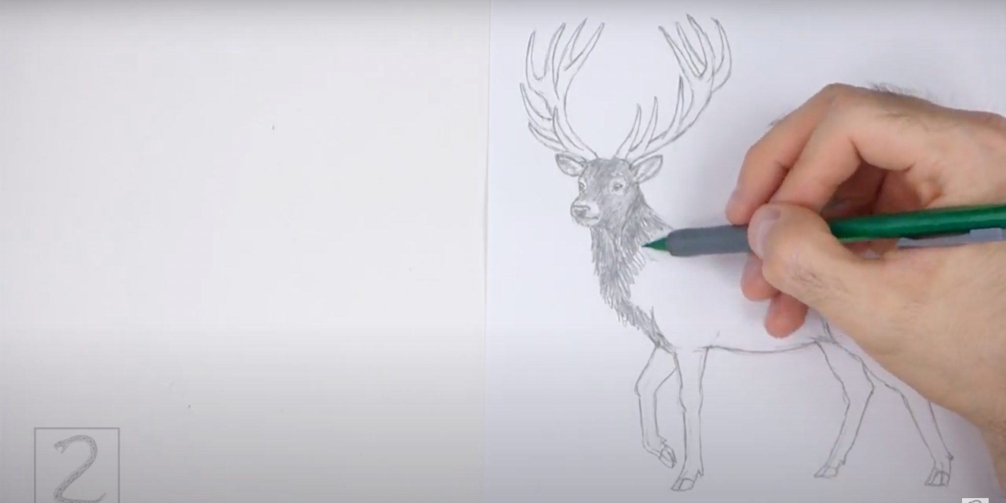 Олень как перенести. Нарисовать оленя карандашом. Олень рисунок карандашом легкий. Реалистичный олень поэтапно мастер класс. Наконечник на карандаш олень.