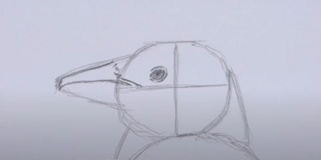 Как рисовать пингвина: прорисуйте верхнюю часть клюва