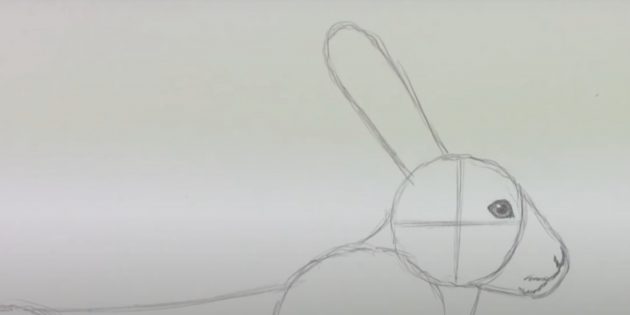 Как рисовать зайца: прорисуйте мордочку