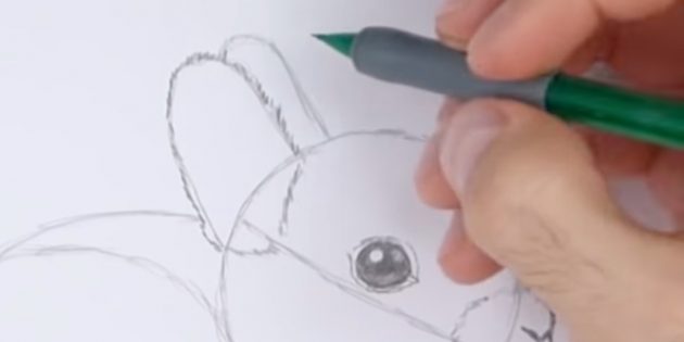 Как нарисовать кролика: прорисуйте ухо