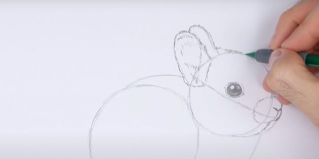 Как нарисовать кролика: прорисуйте второе ухо