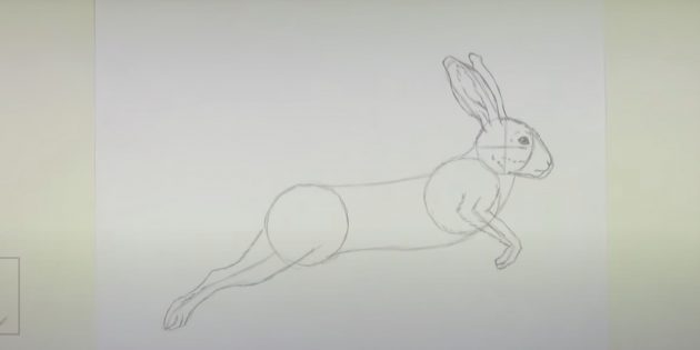 Как рисовать зайца: прорисуйте заднюю лапу