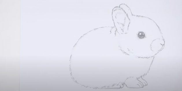 Как нарисовать кролика: сотрите вспомогательные линии