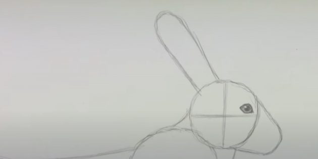 Как рисовать зайца: заострите глаз по бокам