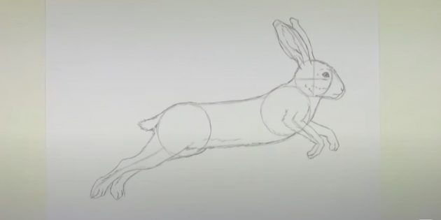 Как рисовать зайца: изобразите вторую заднюю лапу