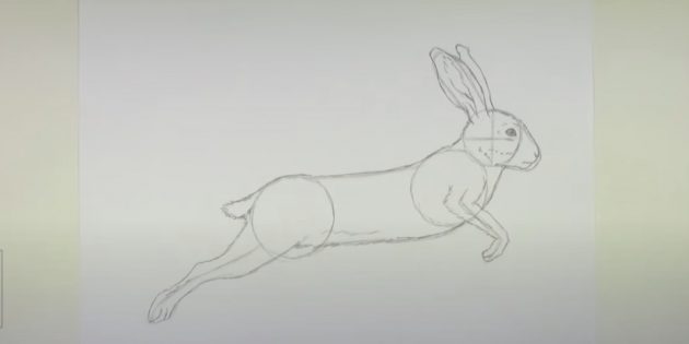 Как рисовать зайца: затемните контур тела и нарисуйте хвост