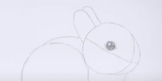 Как нарисовать кролика: нарисуйте зрачок и блик, заштрихуйте глаз