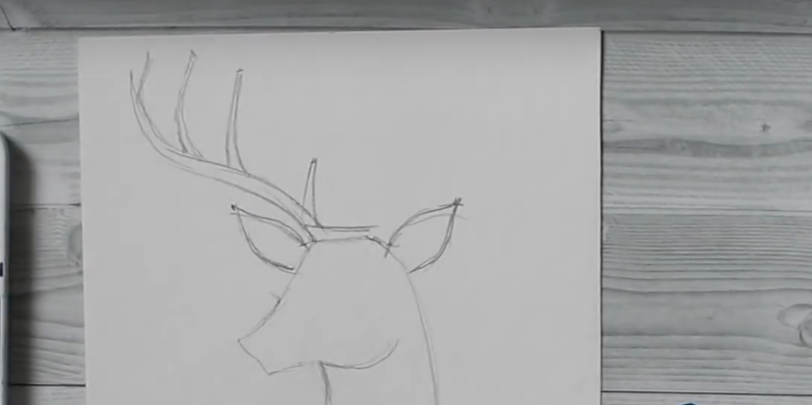 Сын оленя. Джамхух сын оленя рисунок. Зарисовки Веласкес голова оленя поэтапно. Как нарисовать Джамхух сын оленя.