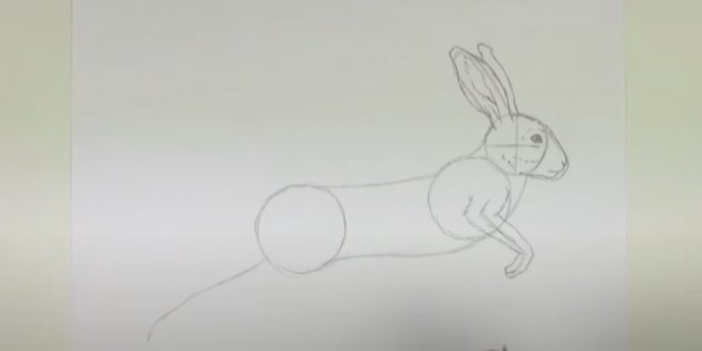 Как рисовать зайца: прорисуйте переднюю лапу