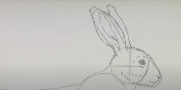 Как рисовать зайца: прорисуйте шерсть на голове