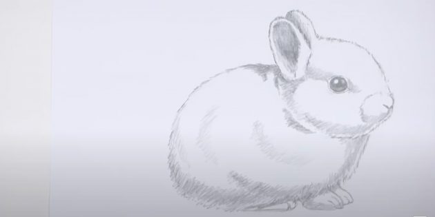 Как нарисовать кролика: добавьте штрихи на тело и голову