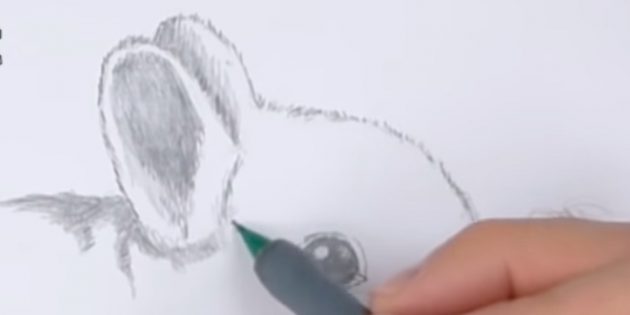 Как нарисовать кролика: заштрихуйте уши и пространство под ними