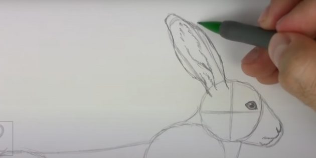 Как рисовать зайца: прорисуйте ухо