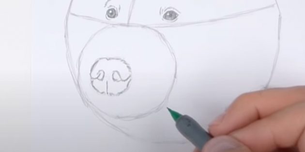 Как нарисовать медведя: Нарисуйте нос