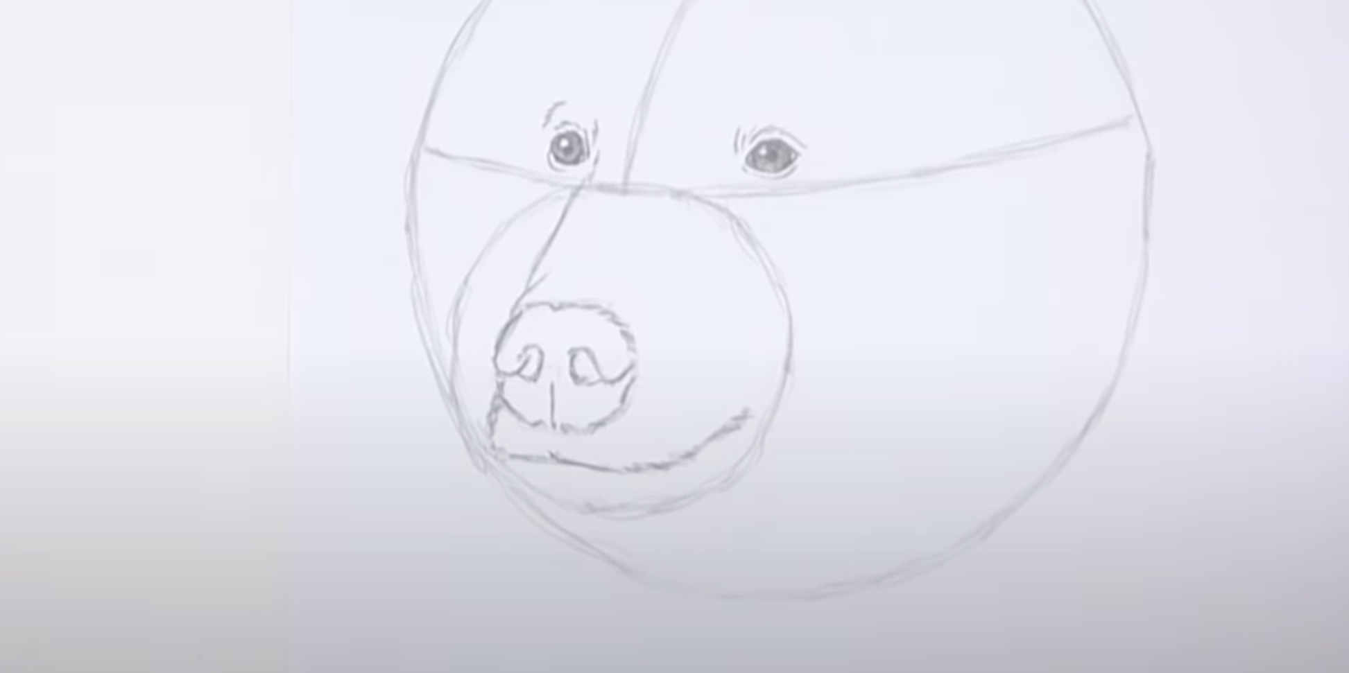 Глаза медведя карандашом