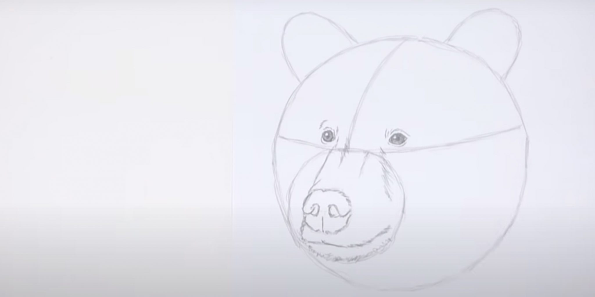 Поэтапное рисование головы медведя