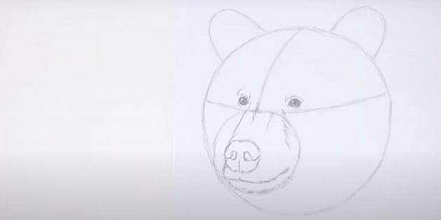 Как нарисовать медведя: Дорисуйте переносицу