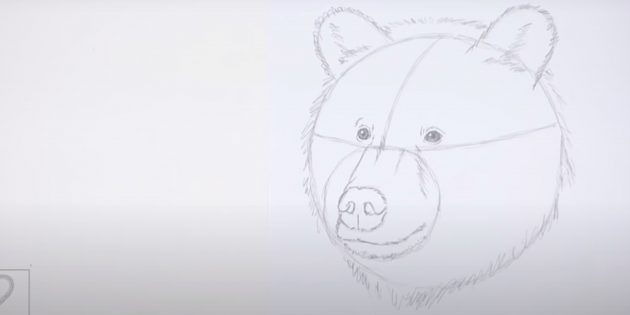 Как нарисовать медведя: Нарисуйте шерсть на голове