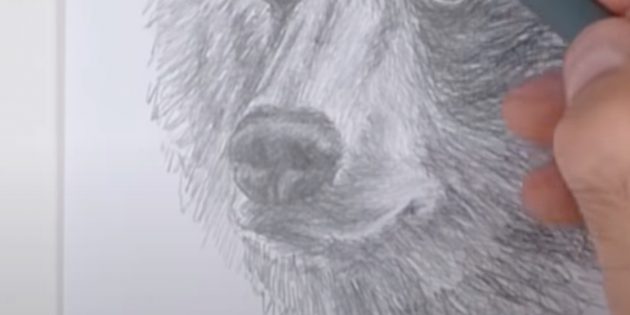 Как нарисовать медведя: Закрасьте нос