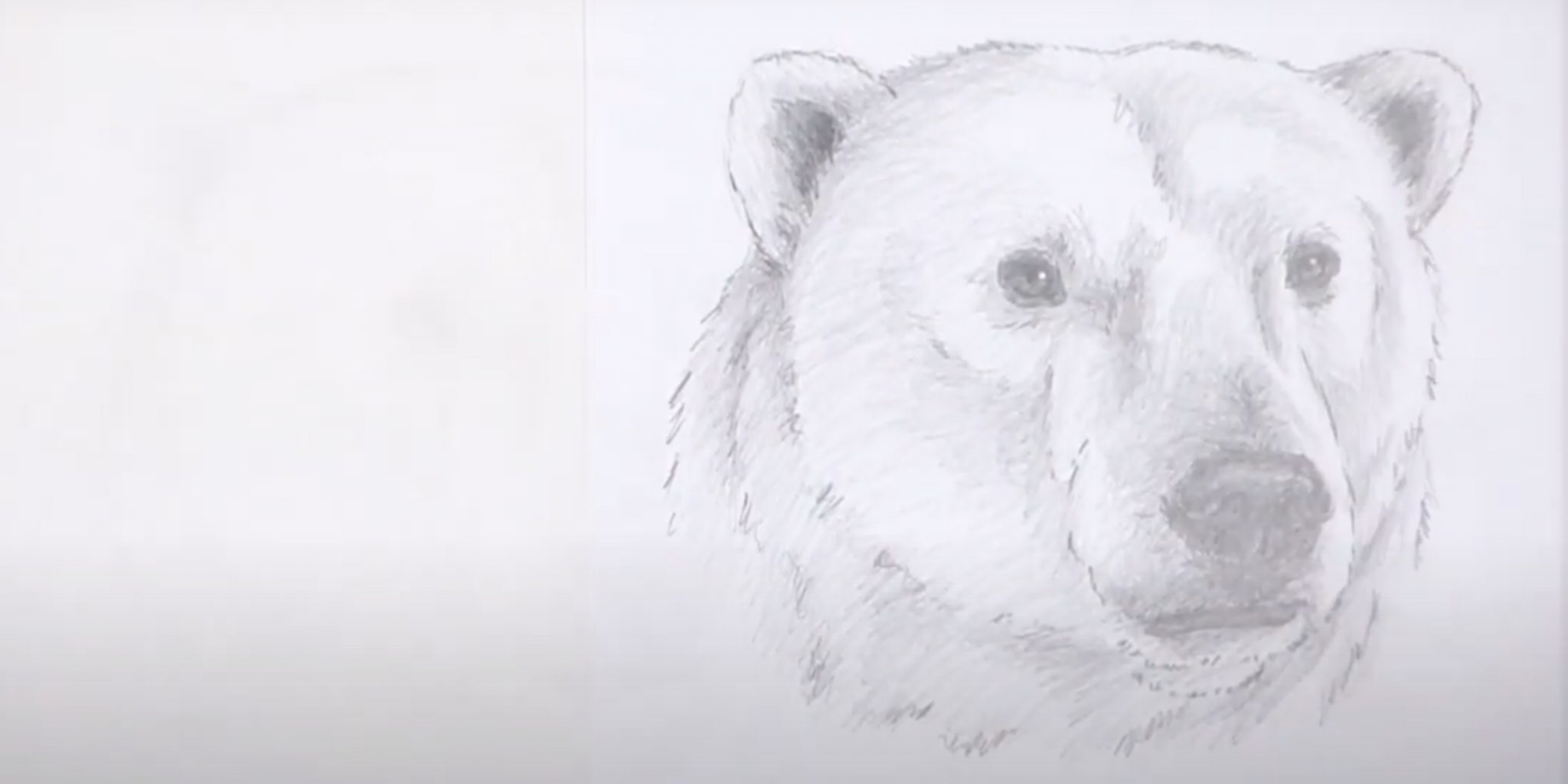Морда медведя карандашом просто